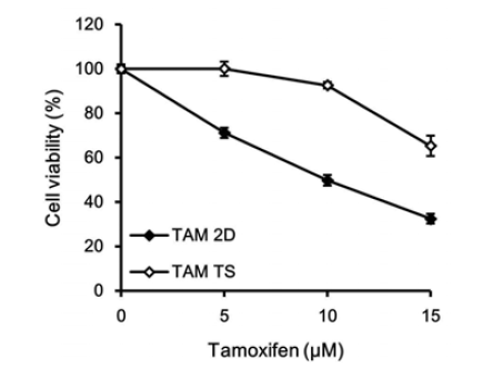 Monolayer(2D)와 tumorsphere(TS) 세포에 대한 tamoxifen의 세포독성 효과