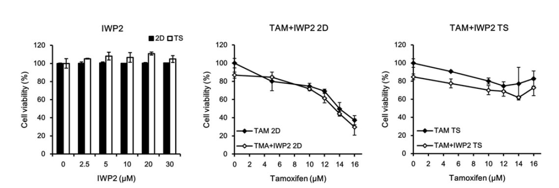 Monolayer (2D)와 tumorsphere (TS)세포에서 IWP 단독 또는 tamoxifen 혼합처리시의 세포독성