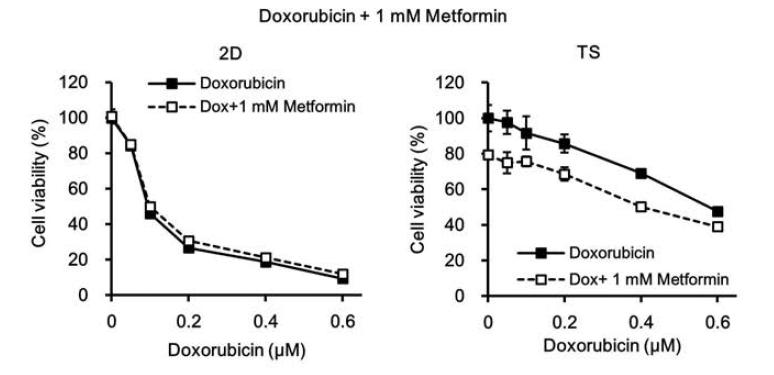 Monolayer (2D)와 tumorsphere (TS) 세포에 대한 doxorubicin (Dox)과 metformin의 병합처리 효과