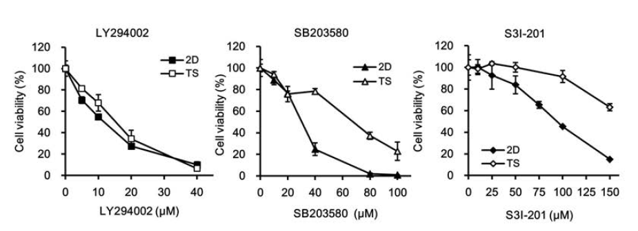 Monolayer (2D)와 tumorsphere (TS) 세포에 대한 LY294002, SB203580 및 S3I-201의 세포독성 효과