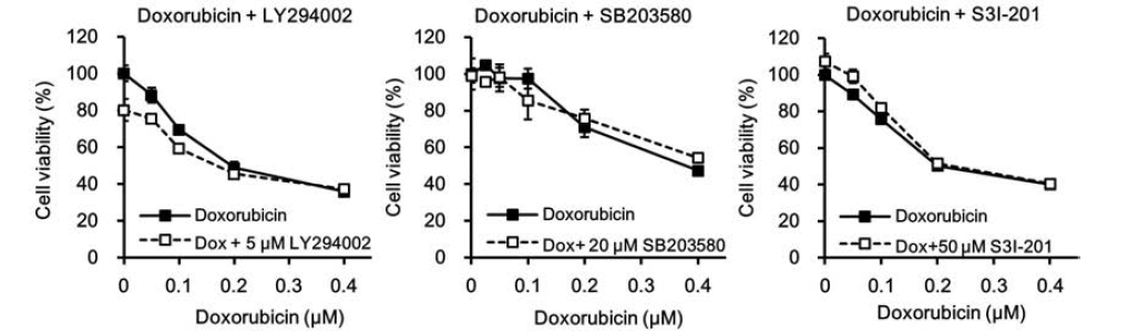 Tumorsphere 세포에서 doxorubicin과 LY294002, SB203580 또는 S3I-201의 병합처리에 의한 세포독성 효과