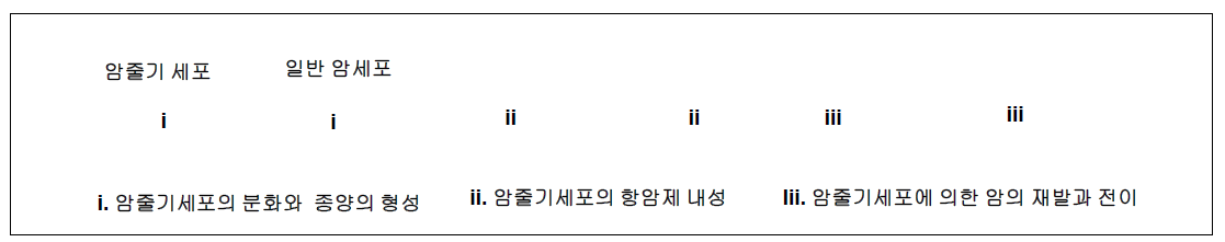 종양의 형성과 항암제 내성에 있어 암줄기 세포의 역할