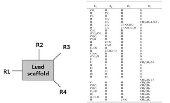 lead scaffold와 다양한 치환기들의 SAR study 적용 예