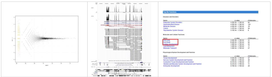 RNA-seq을 통한 전이 표지인자 후보군의 선별, 검증 및 데이터베이스화