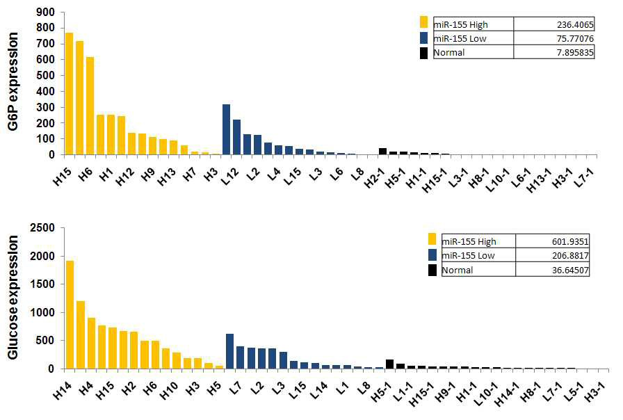 miR-155의　발현에　따라　분류된　유방암　환자　시료에서　측정한　Glucose와　G6P의　 정량　결과