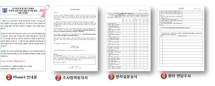 Phase 3 단계별 진행 방법