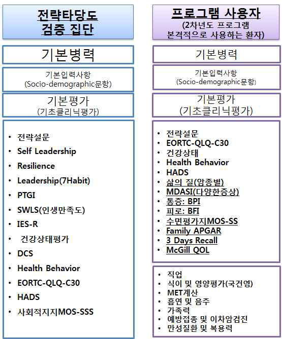 Web-based 프로그램의 설문 구성