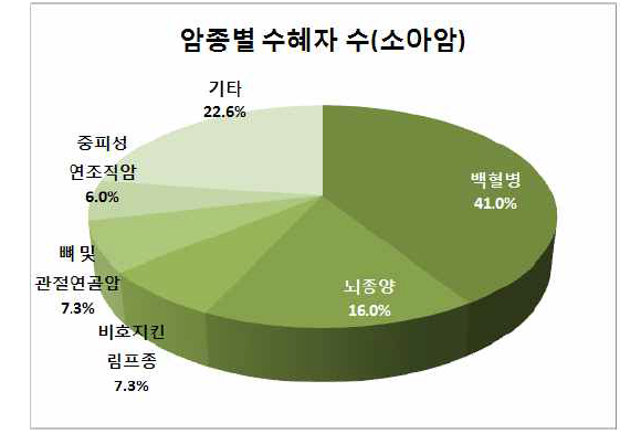 2010년 소아암 암종별 수혜자 수 현황