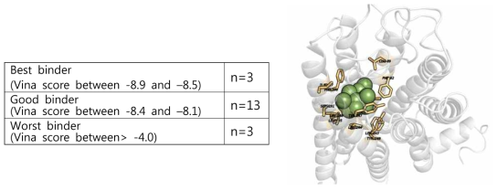 docking score에 따른 향기분자의 후보 수용체들의 ranking과(왼쪽) Hydrophobic cavity에 놓인 향기 분자 (green balls)