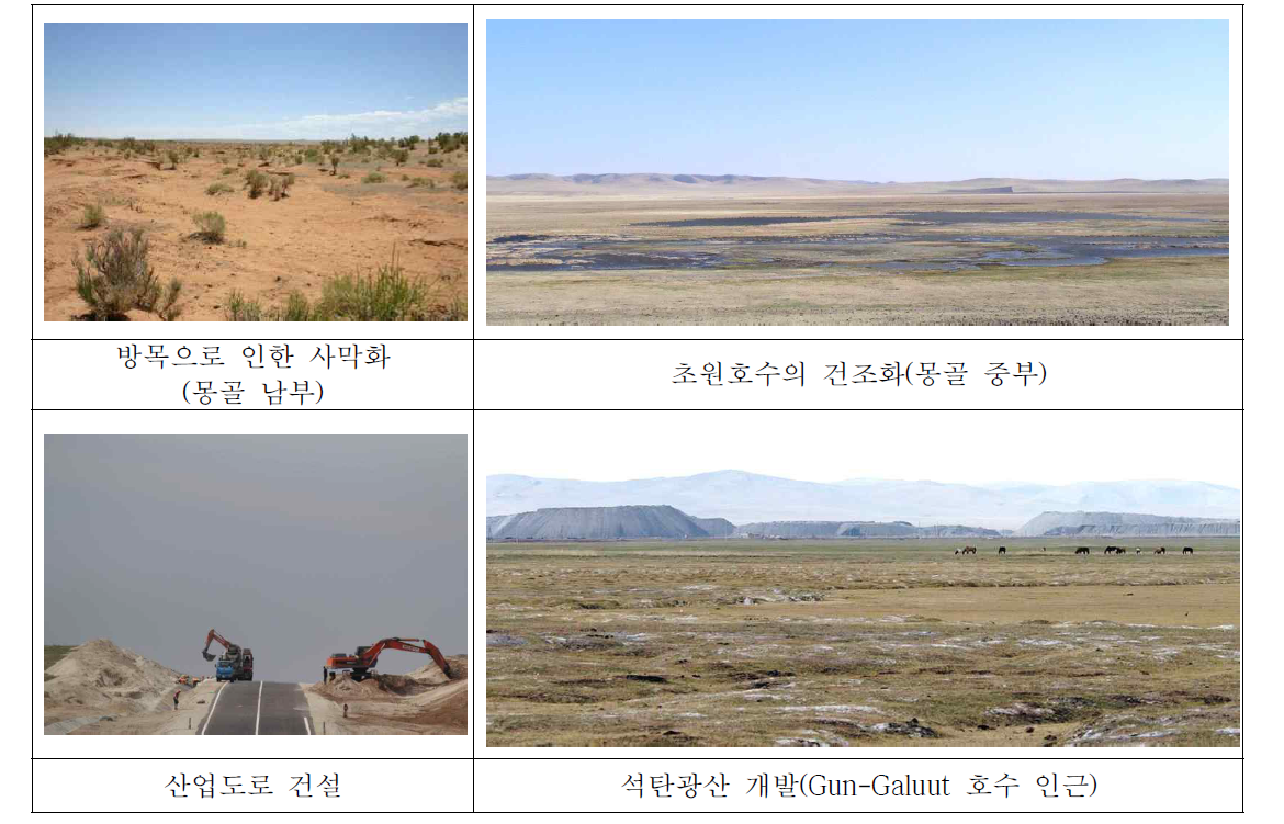 몽골의 사막화 유형
