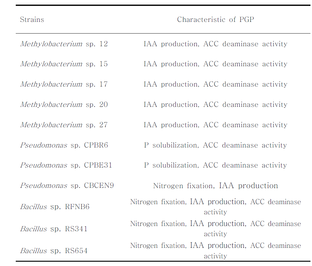 List of plant growth promoting bacteria strains