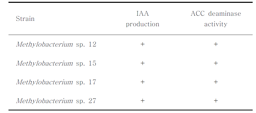 IAA production and ACC deaminase activity of Methylotrophic bacteria