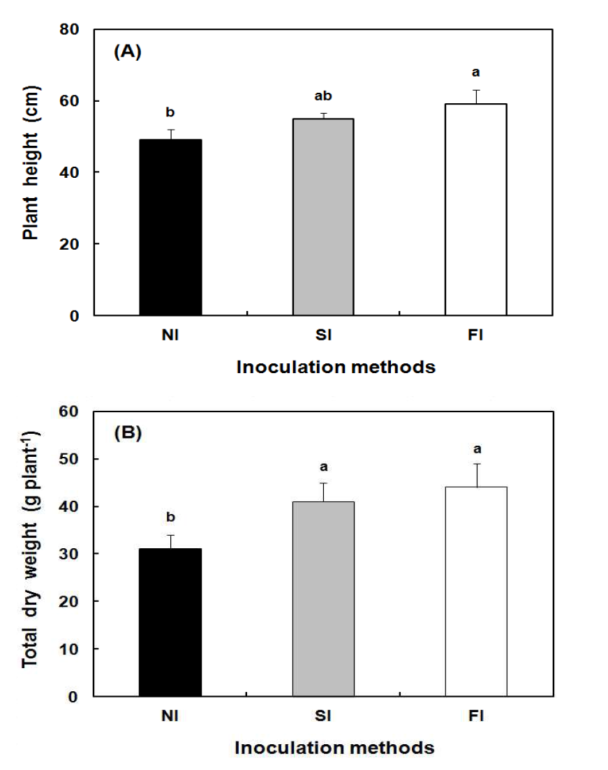 Inoculation effect of Methylobacterium sp. 12 on plant height (A) and total dry weight (B) of red pepper in different inoculation method