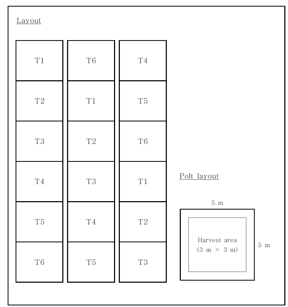 Field and plot layout of soil nutrients management practices in lowland rice cropping system