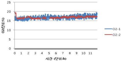 초기 12시간 동안 산소 농도 변화