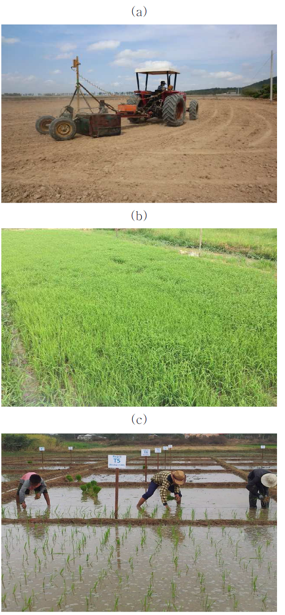 토양 투입 유/무기 자재 준비; (a) 시험 포장 준비; (b) 파종 후 모습; (c) 벼 이앙 모습.