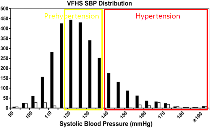 혈압의 분포