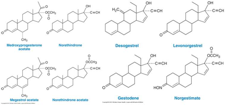 Progesterone 유도체