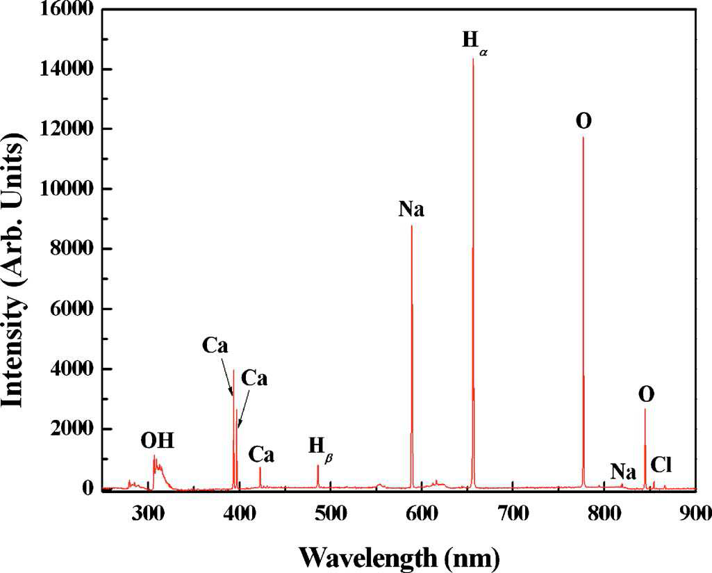 수젓 모세관 방전 플라즈마에서 생 성되는 화학종들의 optical emission spectrum (OES)