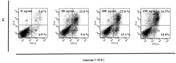 Induction of apoptosis in HCT116 cells for 72h.