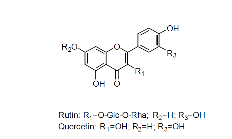 Chemical structure of Rutin and Quercetin isolated from Moringa oleifera fruits