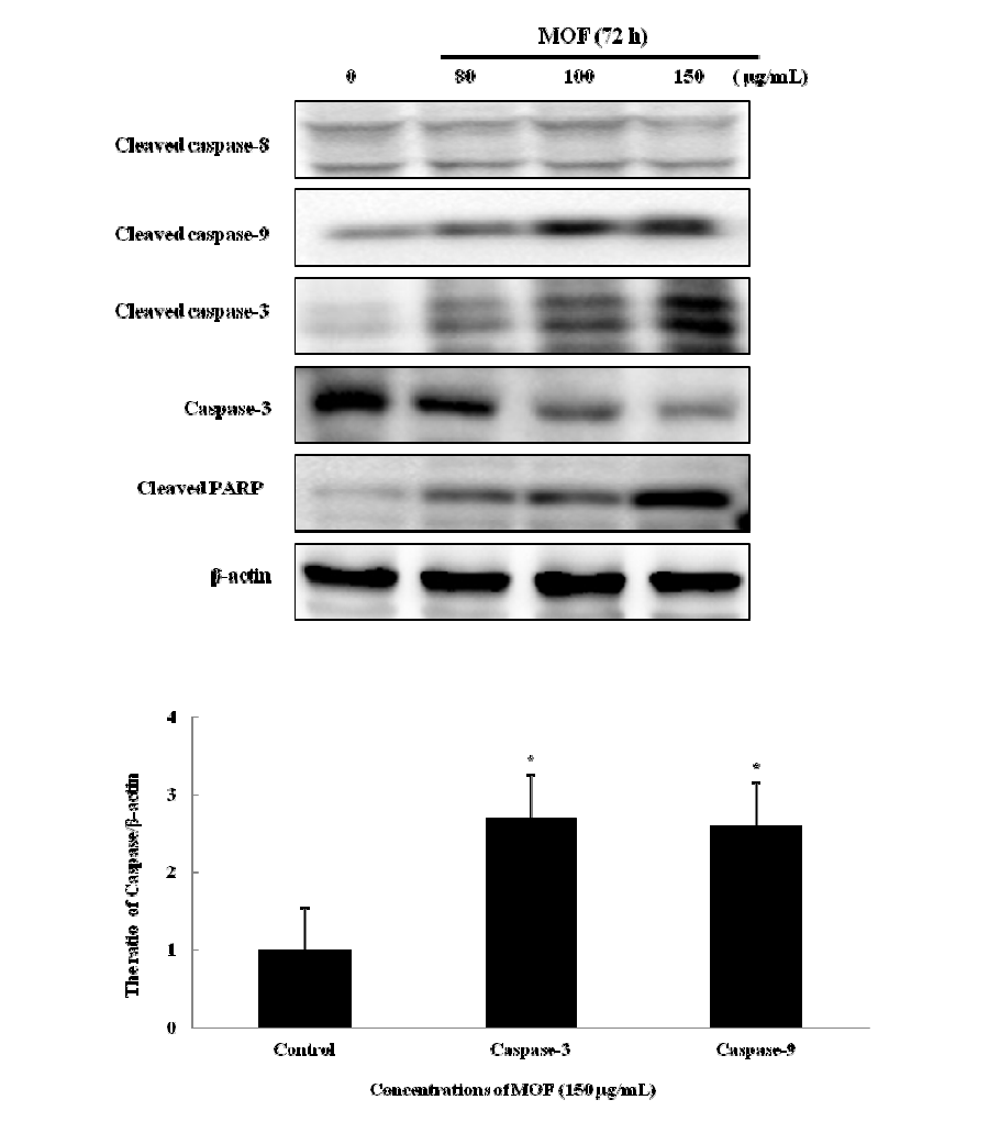 Effects of Moringa oleifera on expression of apoptosis-related proteins in HCT116 human colon cancer cells.