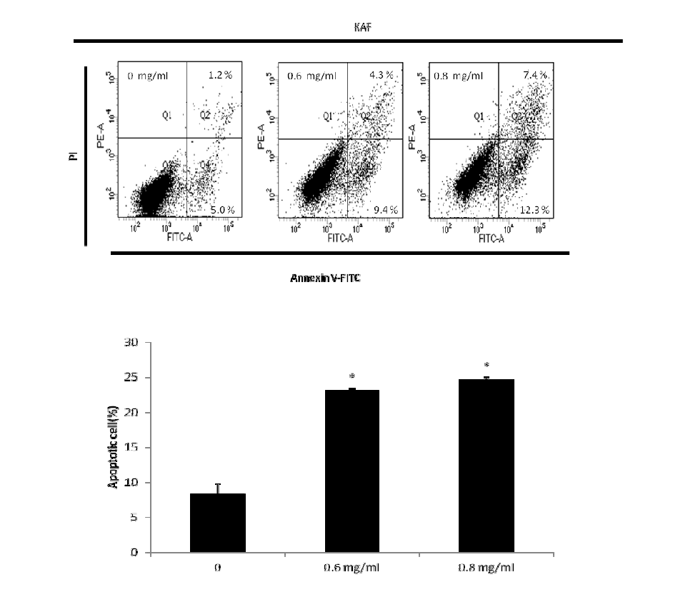 Induction of apoptosis in human colon cancer cells by Kigelia africana in HCT116 cells.