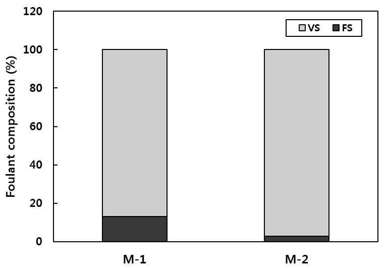 Composition of VS and FS.