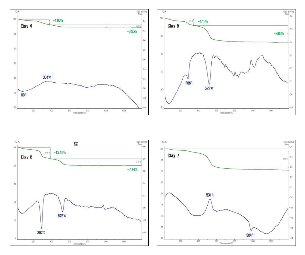 Thermal characteristics (TG-DSC) of Tanzanian clay