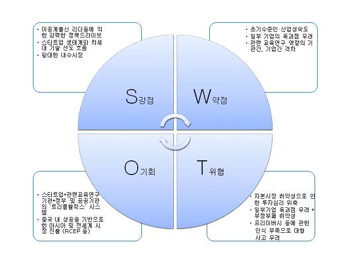 중국 빅데이터(과학기술)의 SWOT 분석