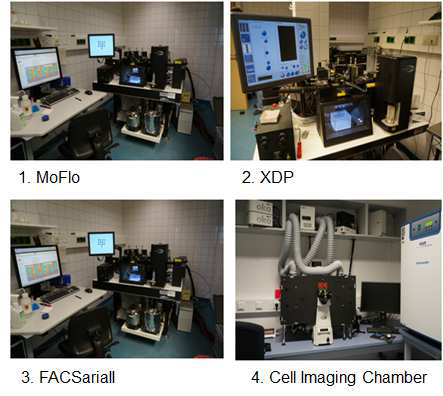 독일 연구팀의 유세포 분석기(FACS)를 이용한 암줄기세포 분리방법에 대한 기술 자문