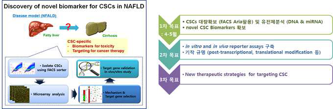 암줄기세포 기반 바이오마커 발굴 과제 기획