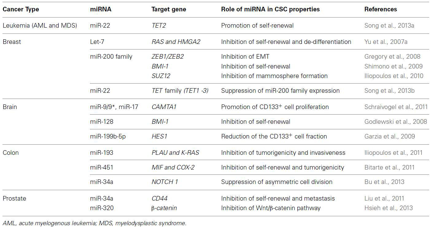 microRNAs와 암줄기세포