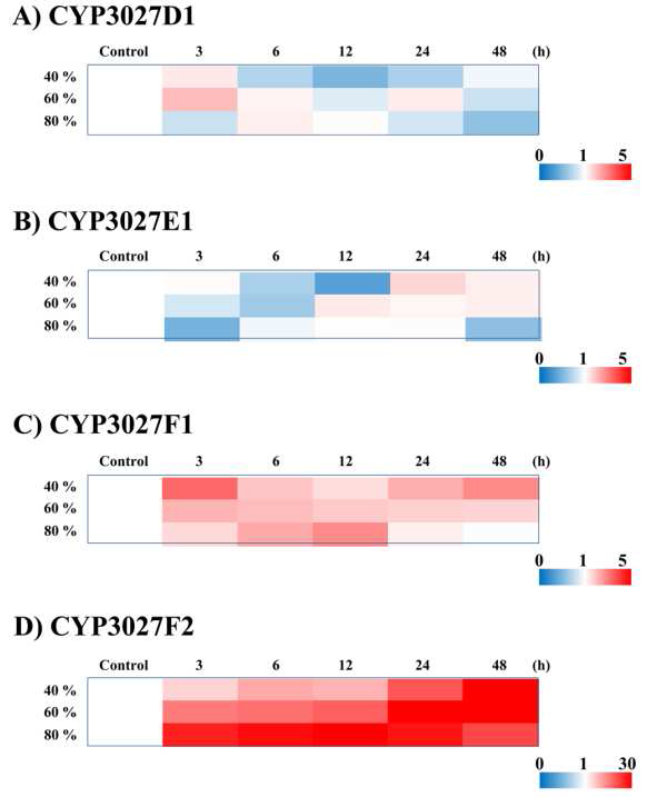 WAF에 의한 Clan3 CYP 유전자의 농 도별, 시간대별 발현 양상. (A) CYP3027D1, (B) CYP3027E1, (C) CYP3027F1, (D) CYP3027F2