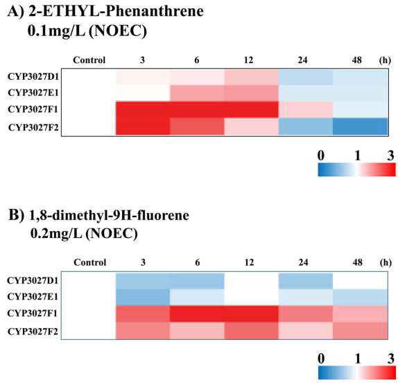 Alkylated PAH에 의한 Clan3 CYP 유전자의 시간대별 발현 양상. (A) 2-ethyl-phenanthrene, (B) 1,8-dimethyl-9H-fluorene