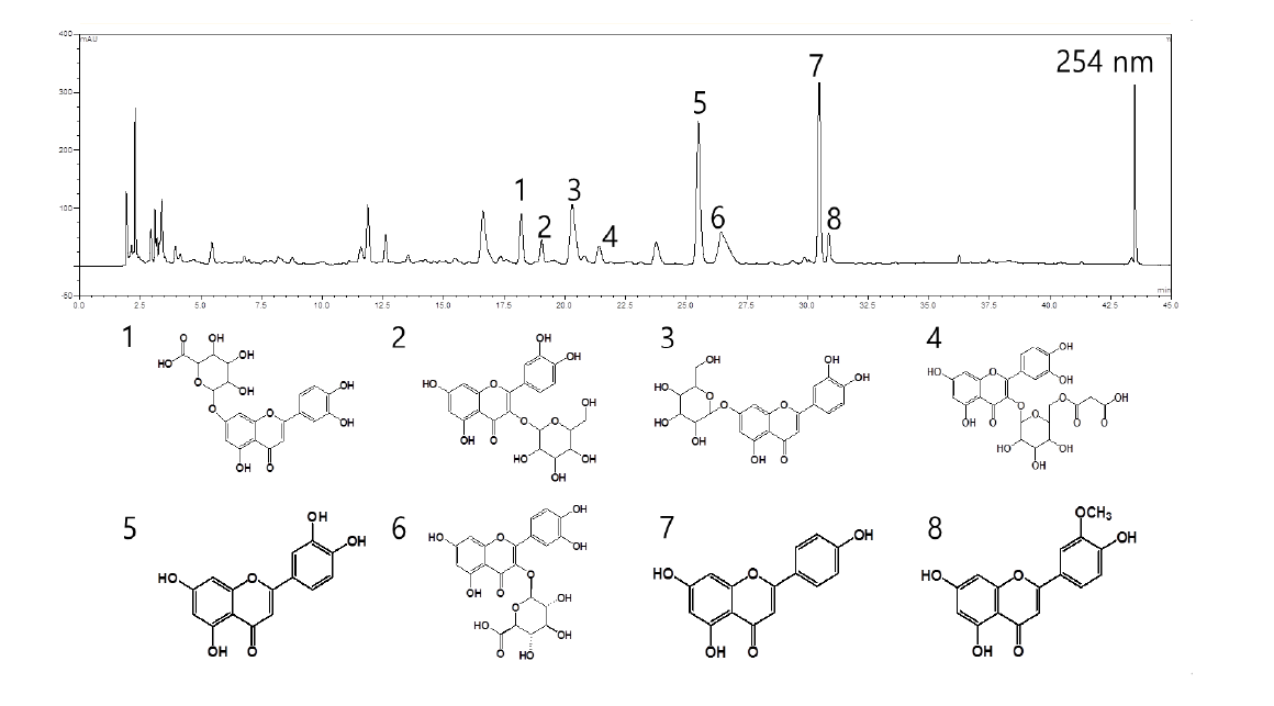 Typical chromatogram of S. hermonthica 80% ethanol extract at 254 nm. Peak 1-8 were identified by UHPLC-ESI-MS analysis: