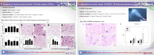 Nanoparticle 흡입독성시험