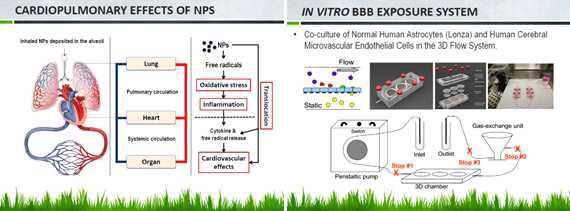 나노입자가 호흡기, 심혈관 및 여러 장기에 미치는 영향