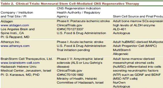 줄기세포의 관련 중추신경계질환 치료 개발 현황