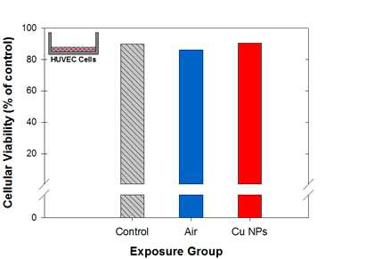 Cell viability determined by FACS analysis for HUVEC cells cultured in control (incubator), air (particle-free), or Cu NP 4-2-4 exposure medium