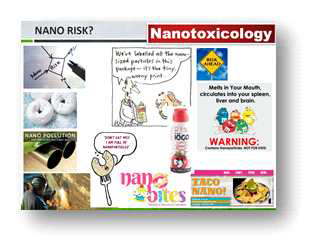 Nanotoxicology