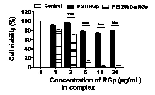 PST/RGp 복합체 처리 시 MTT 테스트를 통한 세포 독성 확인