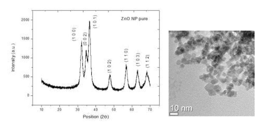 as-synthesized 산화아연의 XRD(왼쪽)과 TEM 이미지(오른쪽)