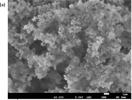 SEM image of the TiO2 doped with Ce3+,Tb3+
