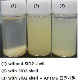 floating test 결과, ethanol용액에서 10시간 비치 후 사진