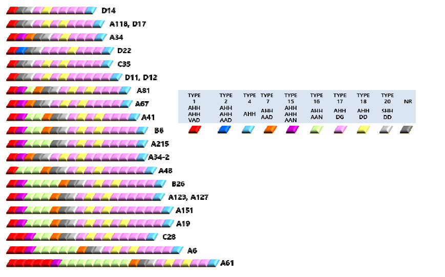 Variation in the number of pfhrp3 types and repeats in Uganda P. falciparum isolates