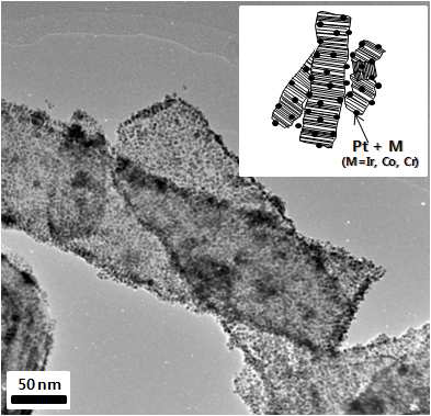 Carbon nanofiber(CNF)에 담지된 금속 촉매