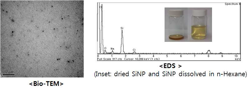 (Octyl)SiCl3 와 SiCl4의 혼합물로부터 얻어진 (Octyl)SiNP의 Bio-TEM 사진(좌), EDS와 얻어진 (Octyl)SiNP의 사진 및 헥산 용해사진(우) .
