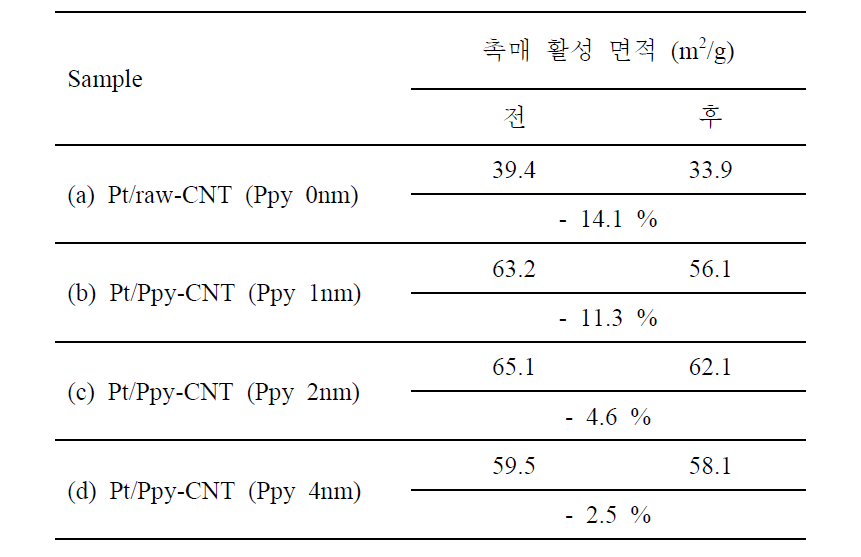 촉매 활성 면적 비교