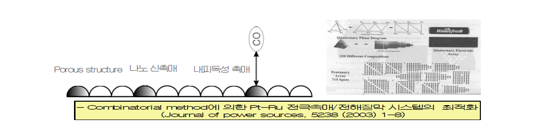 신촉매/전해질 막 시스템의 최적화